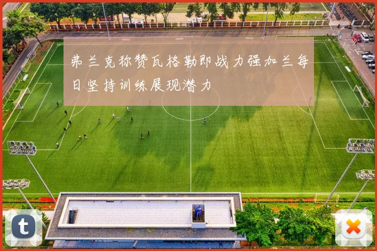 弗兰克称赞瓦格勒即战力强加兰每日坚持训练展现潜力