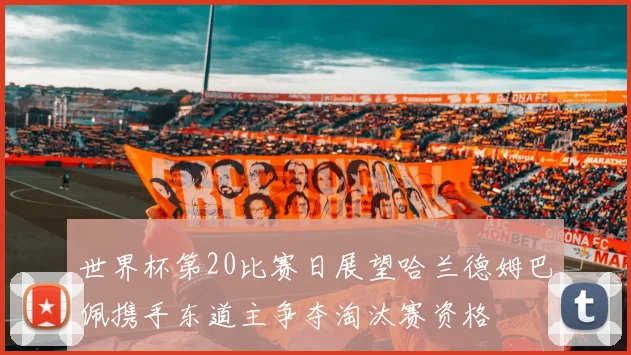 世界杯第20比赛日展望哈兰德姆巴佩携手东道主争夺淘汰赛资格